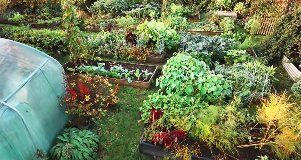 Gardening Tips, Facts, and Organic Gardening Plans