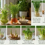 Vegetables You Can Regrow from Kitchen Scraps (And Actually Eat)