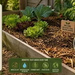 No Dig Gardening Is Changing Everything - And Most Gardeners Still Haven't Tried It
